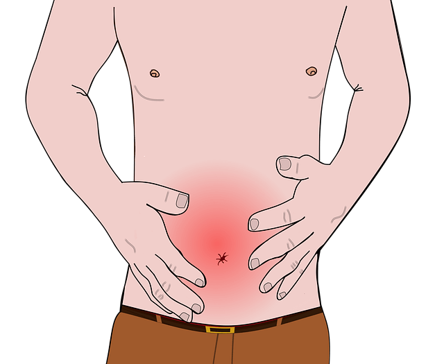 농지연금 가입 조건 만 60세 이상 영농경력 조건 및 월 지급금 유형 비교 현실 기준 정리